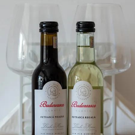 Center-cozy One Bedroom Apartment Bucharest