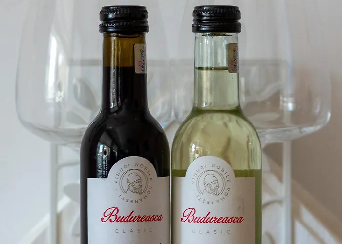 Center-cozy One Bedroom Apartamento Bucareste